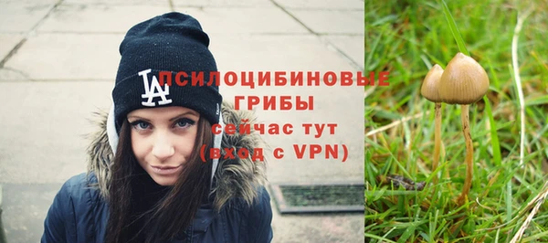 спиды Аркадак