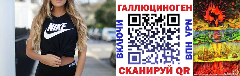 купить наркотик  Судак  Псилоцибиновые грибы Cubensis 