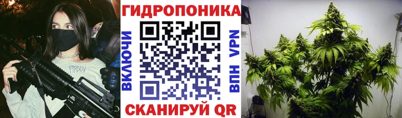 сколько стоит  Судак  Канабис AK-47 